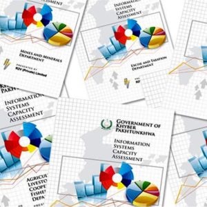 Information Systems Capacity Assessment